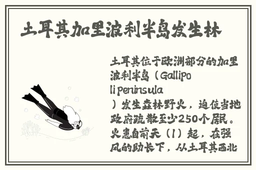老妇人50plus